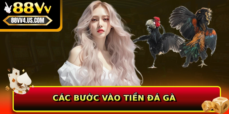 Các bước vào tiền đá gà