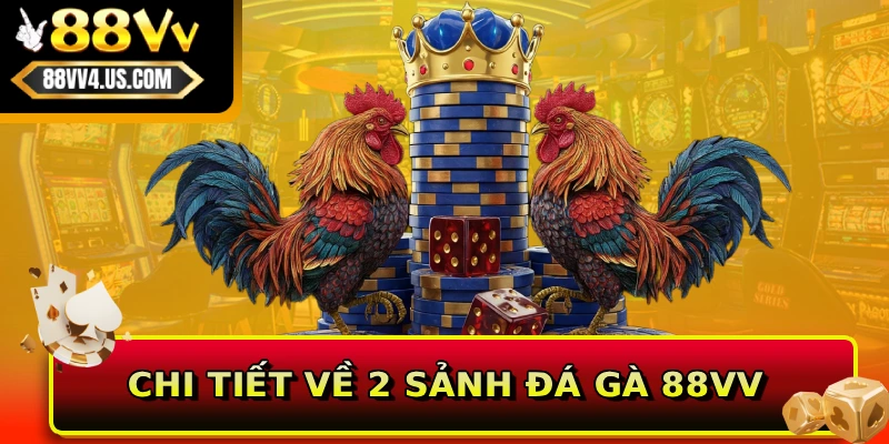 Chi tiết về 2 sảnh đá gà 88VV