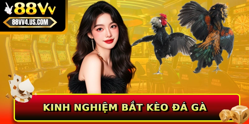 Kinh nghiệm bắt kèo đá gà